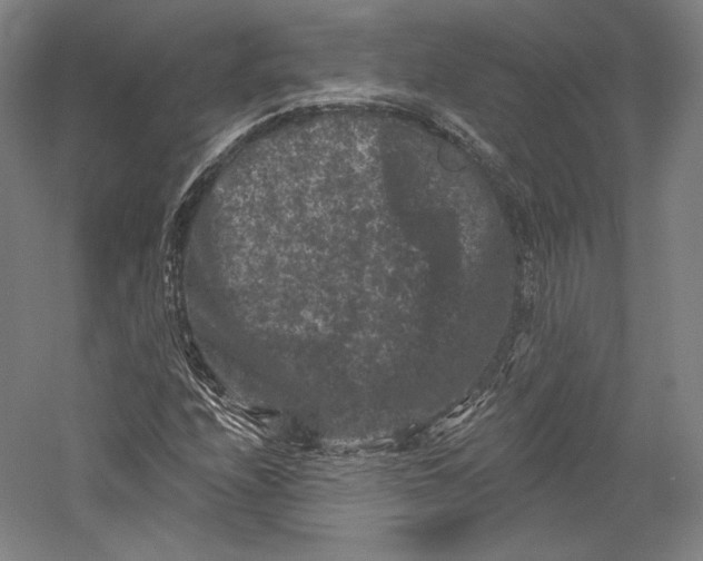 X0000055971208200509091435