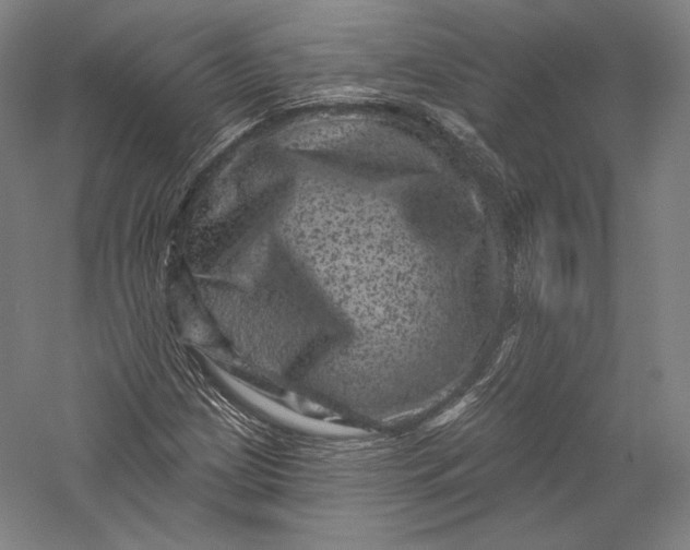 X0000055971209200509091435