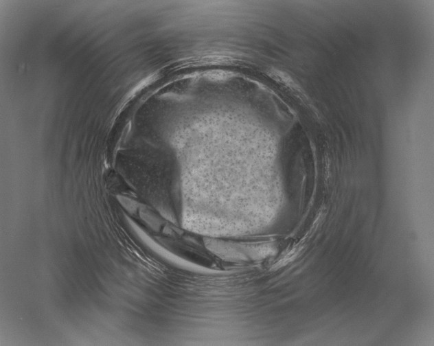 X0000055971210200509091435