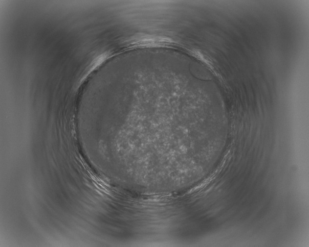 X0000055971211200509091435