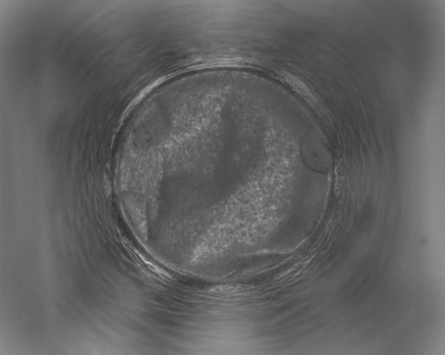 X0000055971212200509091435