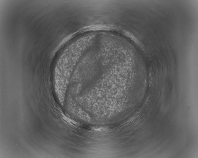 X0000055971213200509091435