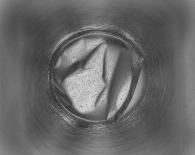 X0000055971214200509091435