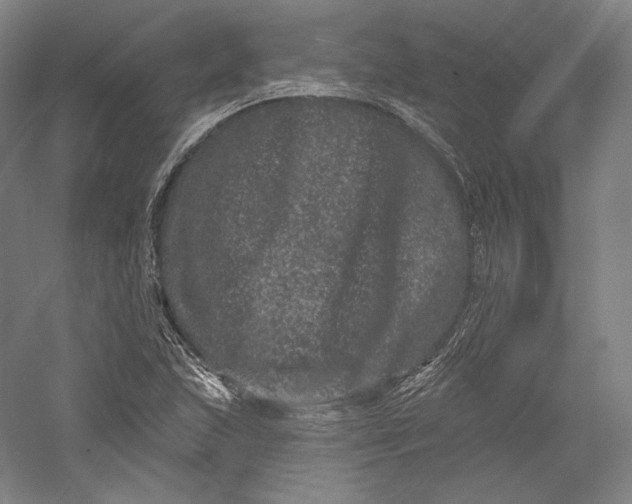 X0000055971215200509091435