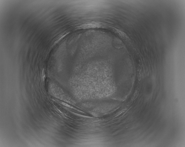 X0000055971217200509091435