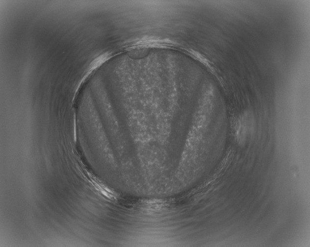 X0000055971219200509091435