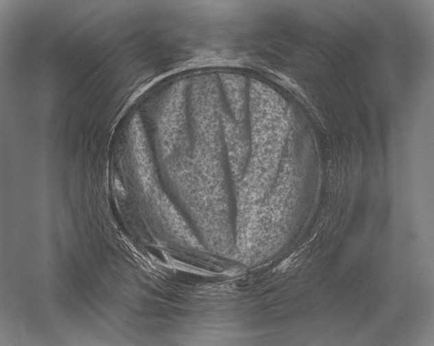 X0000055971220200509091435