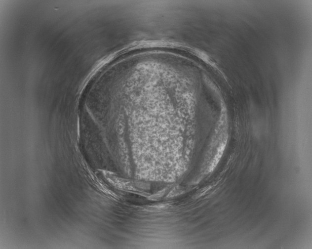 X0000055971221200509091435