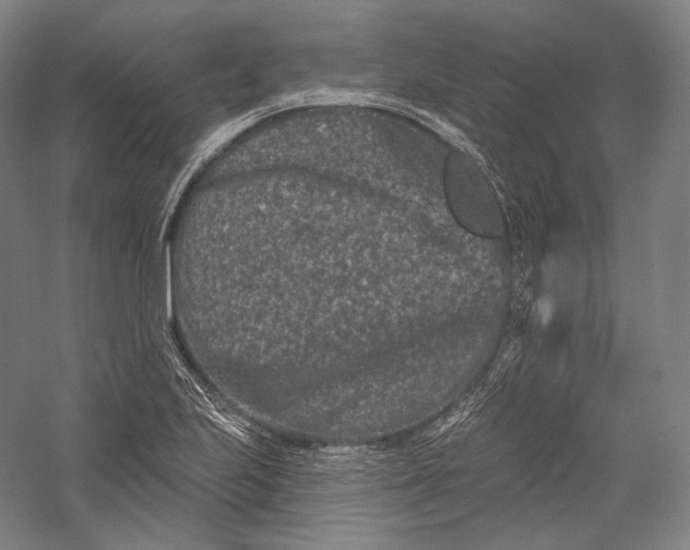 X0000055971223200509091435