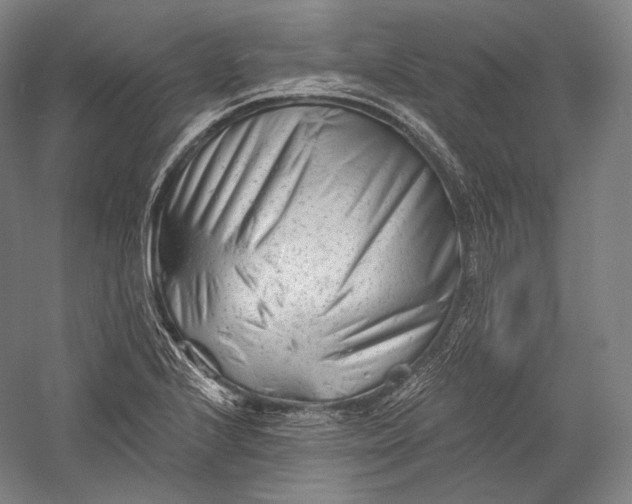 X0000055971224200509091435