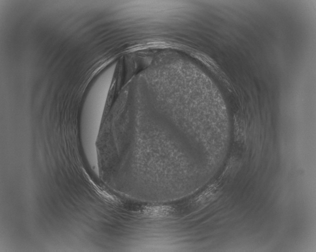 X0000055971225200509091435