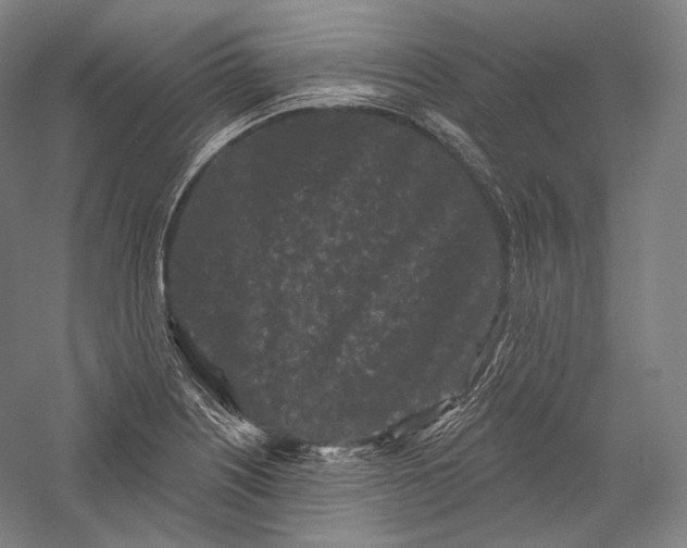 X0000055971226200509091435