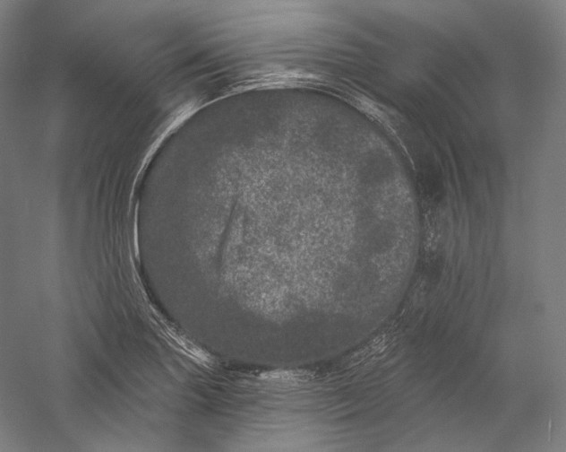 X0000055971227200509091435