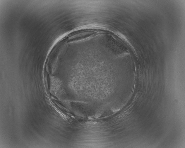 X0000055971230200509091435