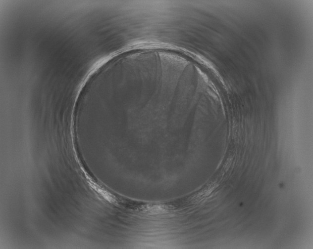 X0000055971231200509091435