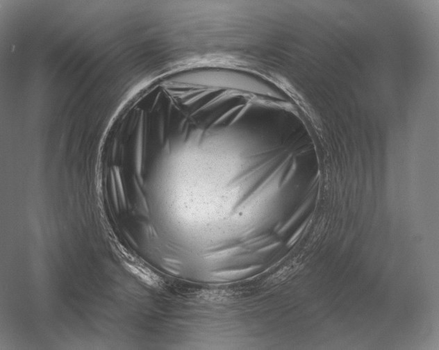 X0000055971232200509091435