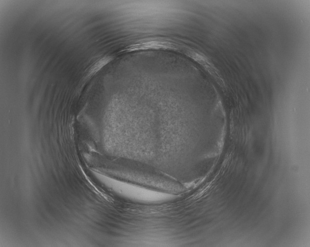 X0000055971233200509091435