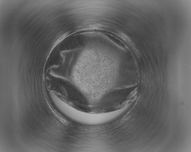 X0000055971234200509091435