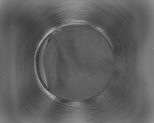 X0000055971235200509091435