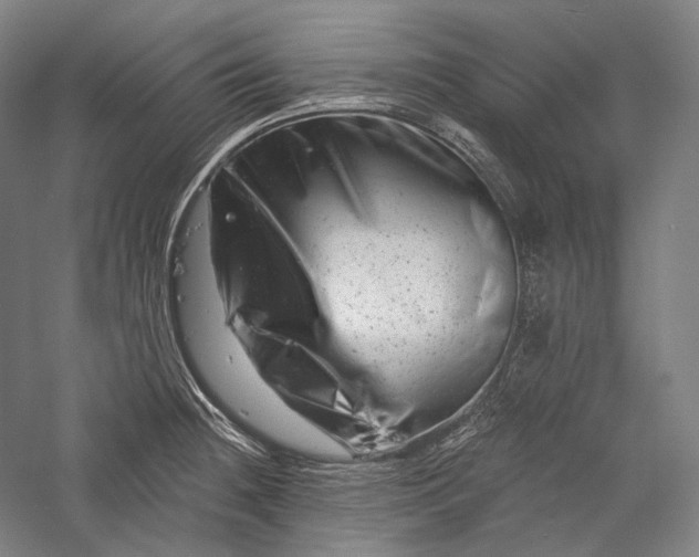 X0000055971236200509091435