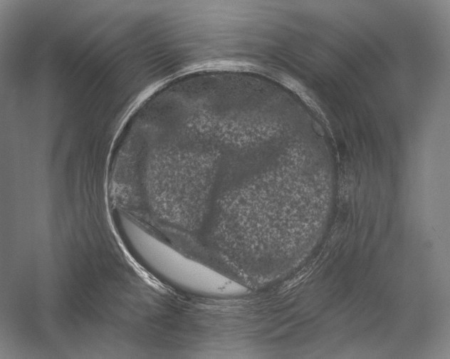 X0000055971237200509091435