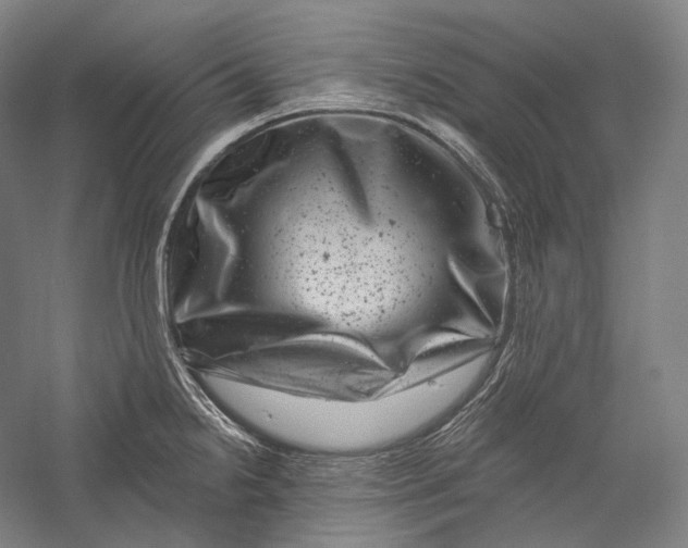 X0000055971238200509091435