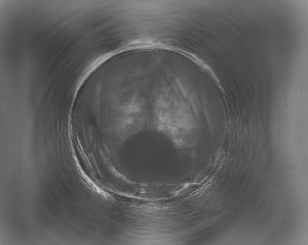 X0000055971239200509091435