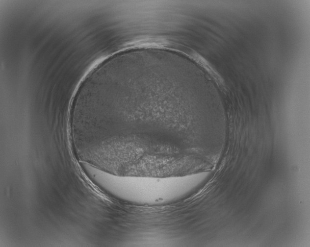 X0000055971240200509091435