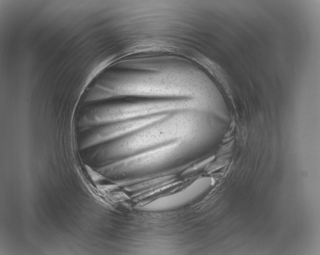 X0000055971242200509091436