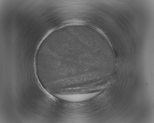 X0000055971243200509091436