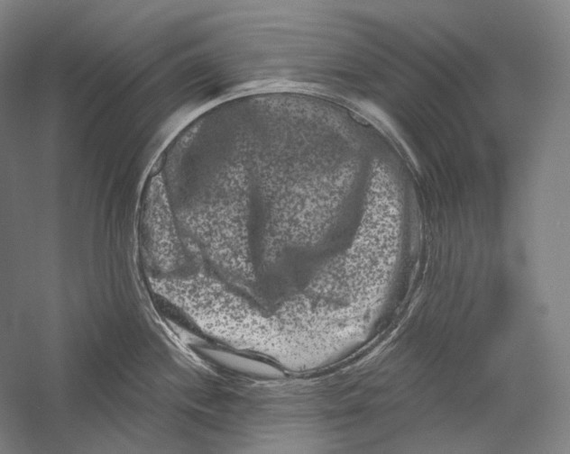 X0000055971244200509091436