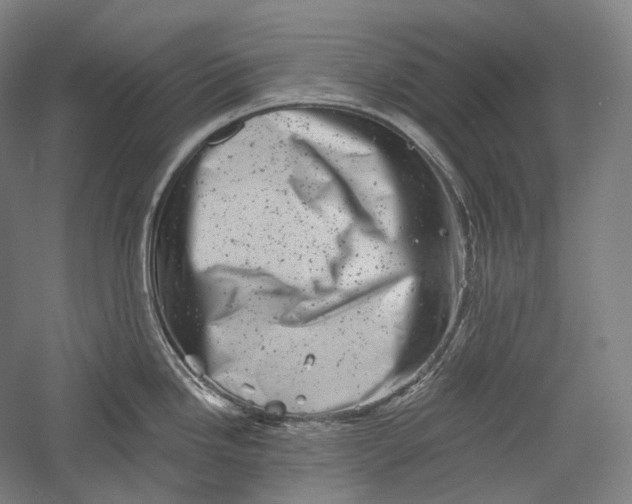 X0000055971246200509091436