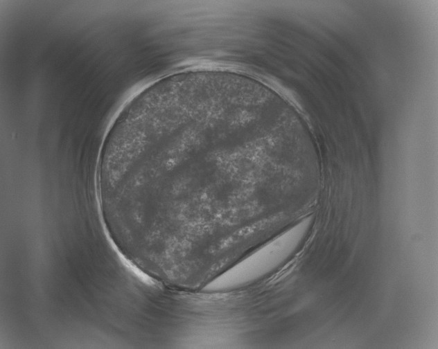 X0000055971247200509091436