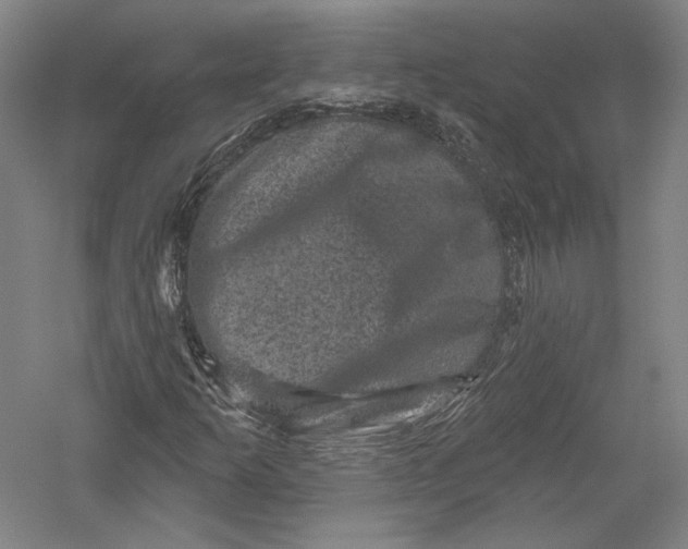 X0000055971253200509091435