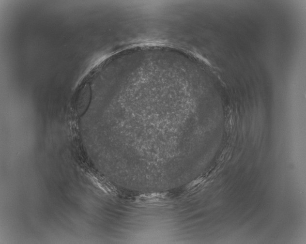 X0000055971255200509091435