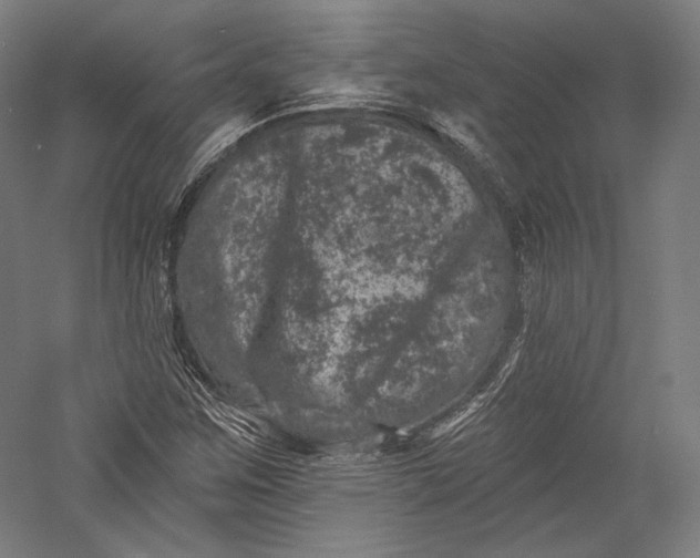 X0000055971259200509091435