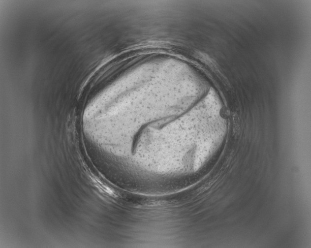 X0000055971260200509091435