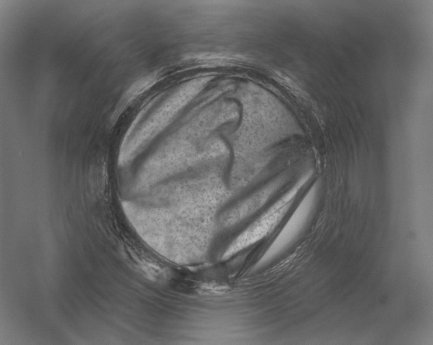 X0000055971261200509091435