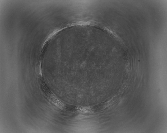 X0000055971262200509091435