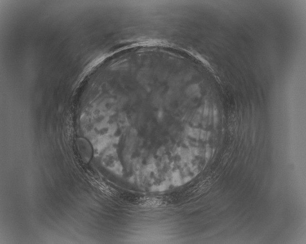 X0000055971263200509091435