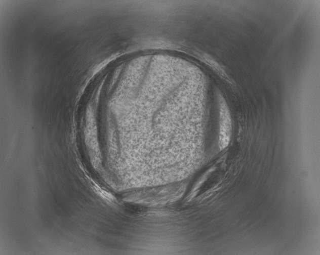 X0000055971264200509091435