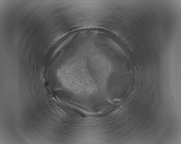 X0000055971265200509091435