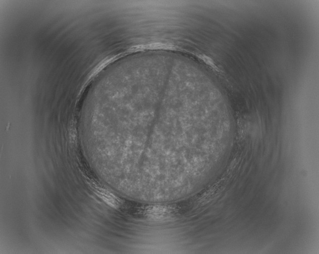 X0000055971266200509091434