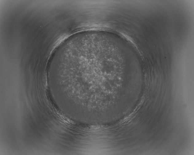 X0000055971267200509091434