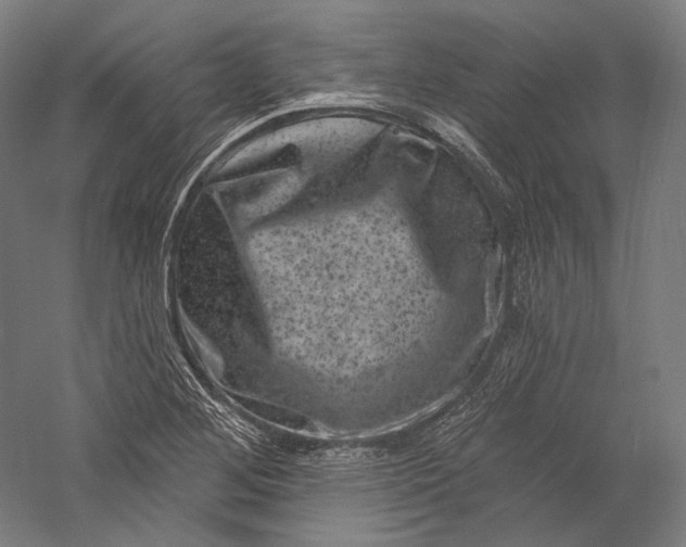 X0000055971268200509091434