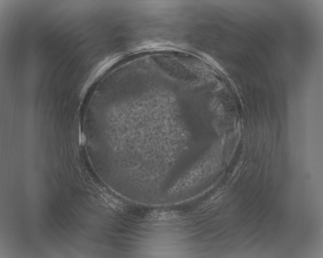 X0000055971269200509091434