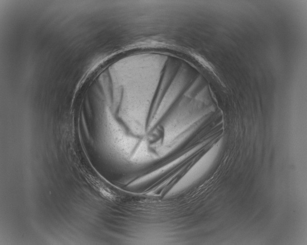 X0000055971270200509091434