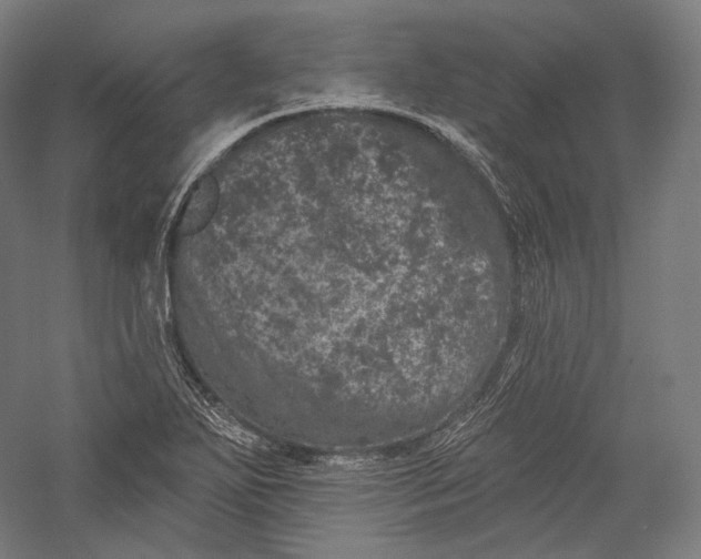 X0000055971271200509091434