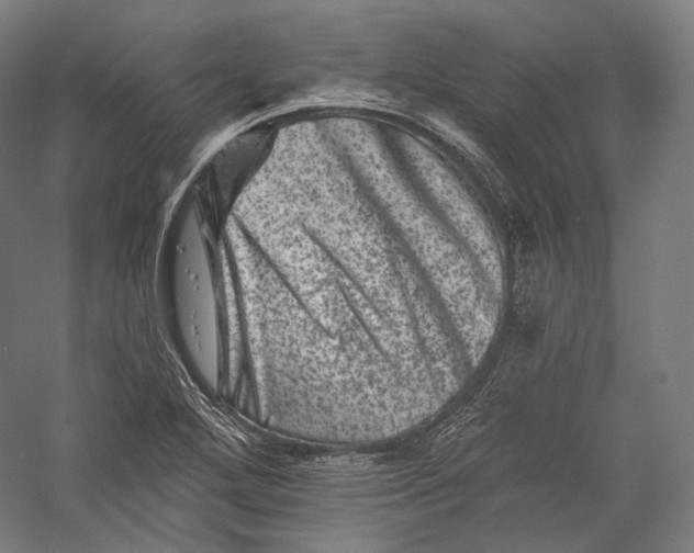 X0000055971272200509091434