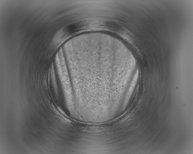 X0000055971273200509091434